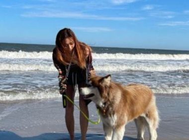 狗比你过得好!王思聪的狗保姆,7年熬走无数网红走上人生巅峰!