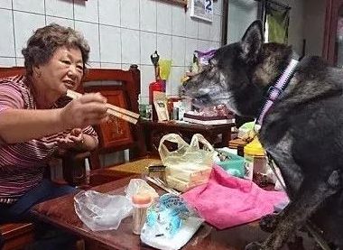 外婆喂狗狗吃荤被闺女阻拦,反骂:我就礼拜不让你吃荤试一下?