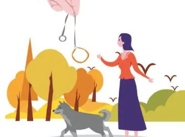 【遛狗拴绳】拴的不只是文明，也是责任、更是安全！