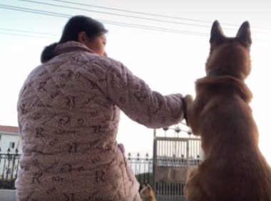 我生完娃后，那只忍了9个月的狗狗，来“报仇”了！