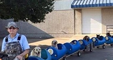 美国退休老人打造小狗列车 载流浪狗兜风