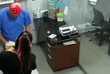 主人家带小狗去接种疫苗，猫咪认为狗哥被欺负，立即怀着医生咬