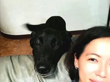 狗狗出众的气质被导演选中拍电影，她高兴又紧张：家里有演员了！