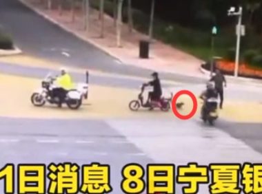 宠物狗未栓绳上马路，摩托骑手碾压后扬长而去：爱找谁赔找谁赔