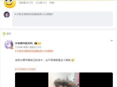 小狗去宠物店洗澡被误以为很脏，没想到就是这个色
