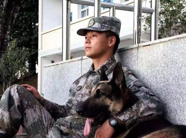 退役军犬大街上挣脱绳索,咬死路人!调查结果令人落泪