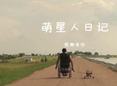 暖心！失去双腿的狗狗和主人，互相鼓励借助轮椅重获新生