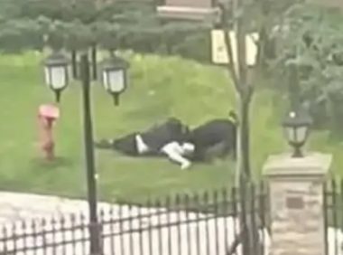 成都被狗咬伤女童已出院,网友却说出了另外一种心声!