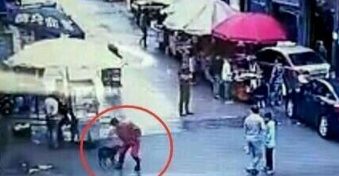 贵州恶犬2小时咬伤23人 遭警察围捕乱棒击杀