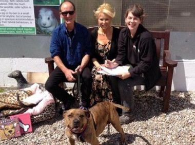 苦等6年 英最寂寞狗被领养