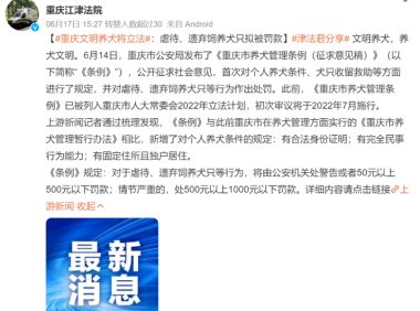 火速扩散！重庆拟颁布新规：禁止虐待、遗弃猫狗！