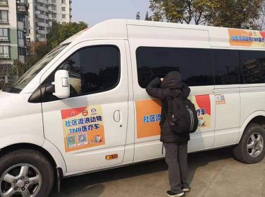 社区来了辆移动绝育车,一出门猫狗就“不完整”了