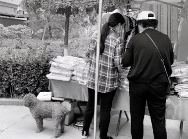 出门遛狗“别掉链”文明养犬“守规矩”