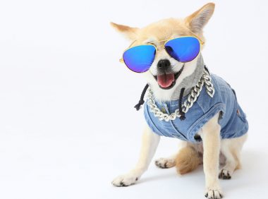 跳楼抗议遛狗不牵绳女子家属与物业达成赔偿意见，涉事者拒不赔偿