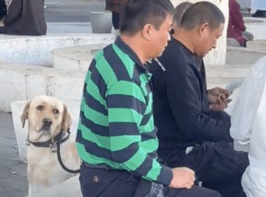 爸爸出门遛狗其实去打牌，狗狗坐在旁边一脸生无可恋：气死我了！