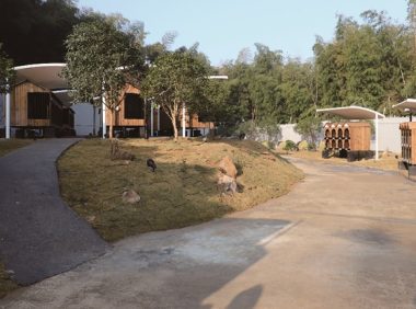 邀请市民领养、监督 龙湾推出犬只收容所固定“开放日”