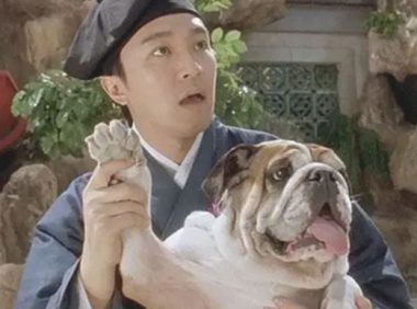 不同的累计票房神话传说星爷,谢谢周星驰让那麼很多人了解了斗牛犬