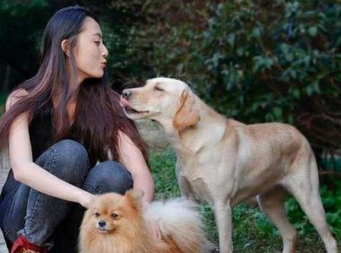 俗语“喂狗别喂饱”，其实下半句更发人深思，都是先人的逆耳忠告