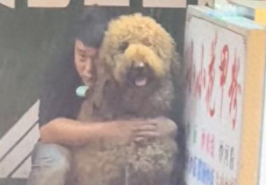 下大雨躲在狗狗后面，狗：确定吗？你洗澡10分钟，我最少200