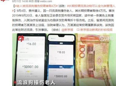 「流浪狗肇事，投喂者赔4万」，再次让中国道德水平严重倒退