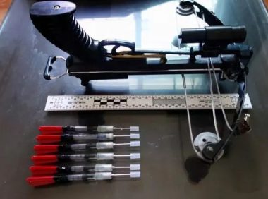 偷狗用的毒针有多毒?哥哥偷狗过程中毒针误伤弟弟,弟弟中毒而亡