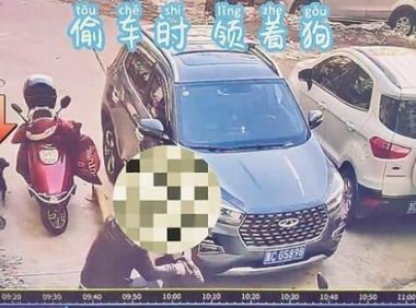 小偷宠物狗监控中频“出镜” 助警方破获系列盗窃电瓶车案