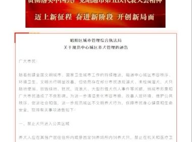 云南昭通“最严限狗令”白天禁入公共区域，当地政府热线：尽量在小区内部遛狗，不限制去医院