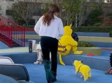 美女与宠物狗撞衫,狗狗激动摇尾巴亲近