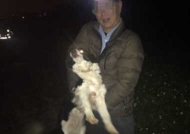 牧羊犬深夜离家出走 值班警察跳下田带它回家