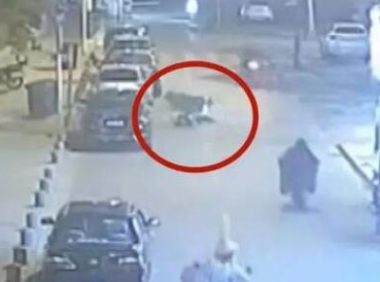 事发淮安!拉布拉多犬撞断摩托车手四根肋骨…