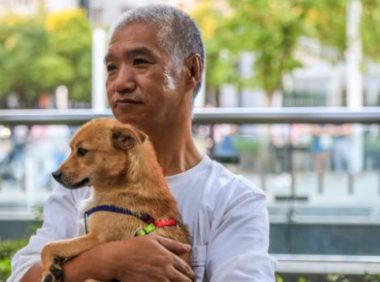 狗狗丢失两个月后，见到主人竟主动跑开，主人用爱帮它找回记忆