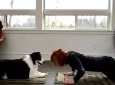 狗狗跟女主人一起锻炼身体，神同步的动作令人大呼并不是狗！