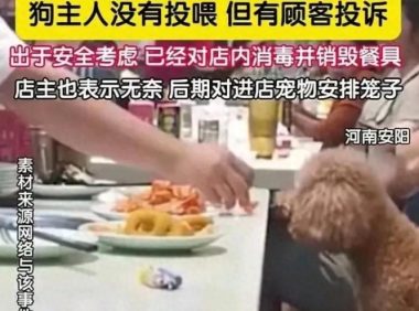 顾客带宠物狗上座吃饭，老板无奈将餐具销毁