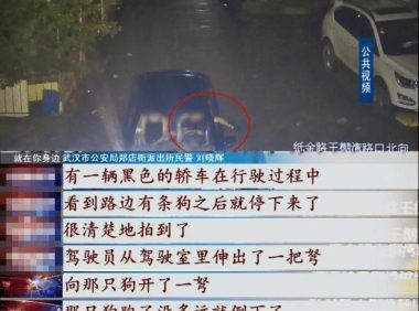 残忍!武汉一对父子为牟利,用毒镖射杀100多条狗,被刑事拘留