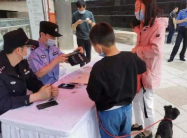 青岛开展养犬管理专项整治行动 遛狗不牵绳涉嫌违法