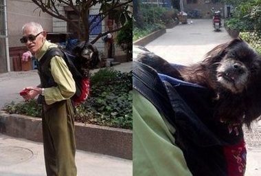 爱犬年迈瘫痪 8旬老翁不离不弃每天背它一起散步