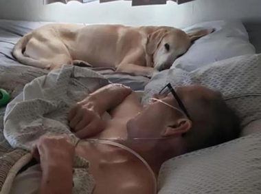 狗狗离世一个半小时后,主人也相继去世,彼此之间的羁绊让人泪目