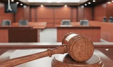 流浪狗咬伤人长期投喂者被判担责 网友争执是否过分：善良有错？