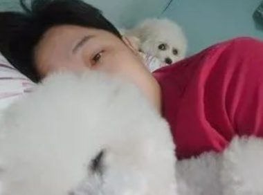 比熊犬看到主人抱别狗睡觉,秒变怨念背后灵:你最好别睡太死