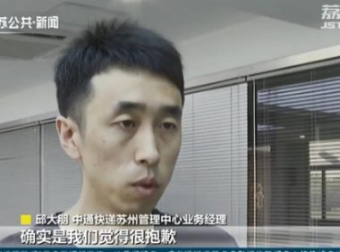 百余只宠物盲盒被遗弃街头,有猫有狗都在惨叫