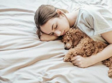 你睡着后，“泰迪犬”这样做，说明没养错狗