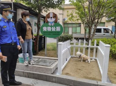 文明养犬有新招,湖州长兴“宠物公厕”上线啦