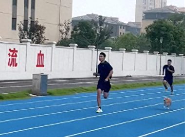 狗狗和消防员们比赛跑步，从落后到率先冲过终点，四驱的真厉害啊