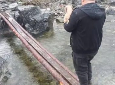 土狗病重后离家出走，主人冒雨上山找寻