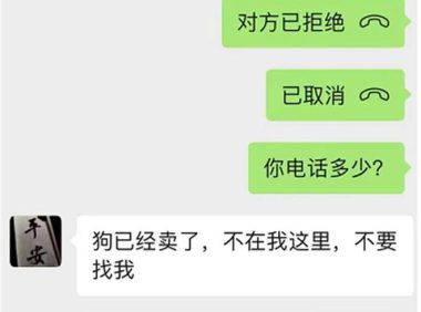 男子领养狗狗后反勒索原主人，送养人的爱心不应成为牟利工具