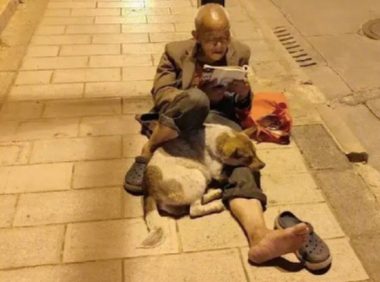 老人在道路路灯下边看书，腿边还偎依着一只小狗，一人一狗，却享余生
