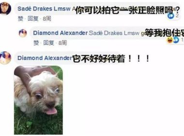 妹子想帮走失的狗狗寻找主人,网友让她拍个狗狗正脸照,结果……