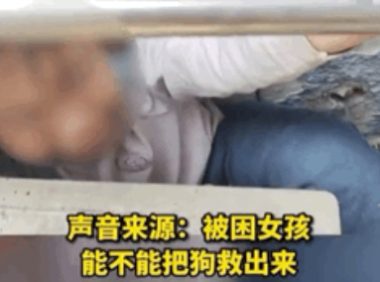 小女孩钻防护架救狗被困，哭着请求消防员：“叔叔，能不能先救狗狗？”