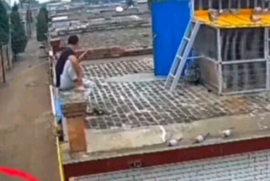 河北廊坊：偷狗贼开车白天套狗，村民怒砸砖块？