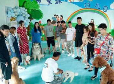 济南有了首家文明养犬宠物俱乐部